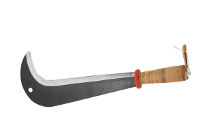 Zwitsers kapmes, 43 cm